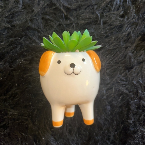 BRAND NEW ‘Francesca’s’ Dog succulent - Picture 1 of 4